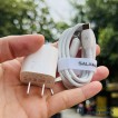 Bộ sạc iPhone 20W Salaman 