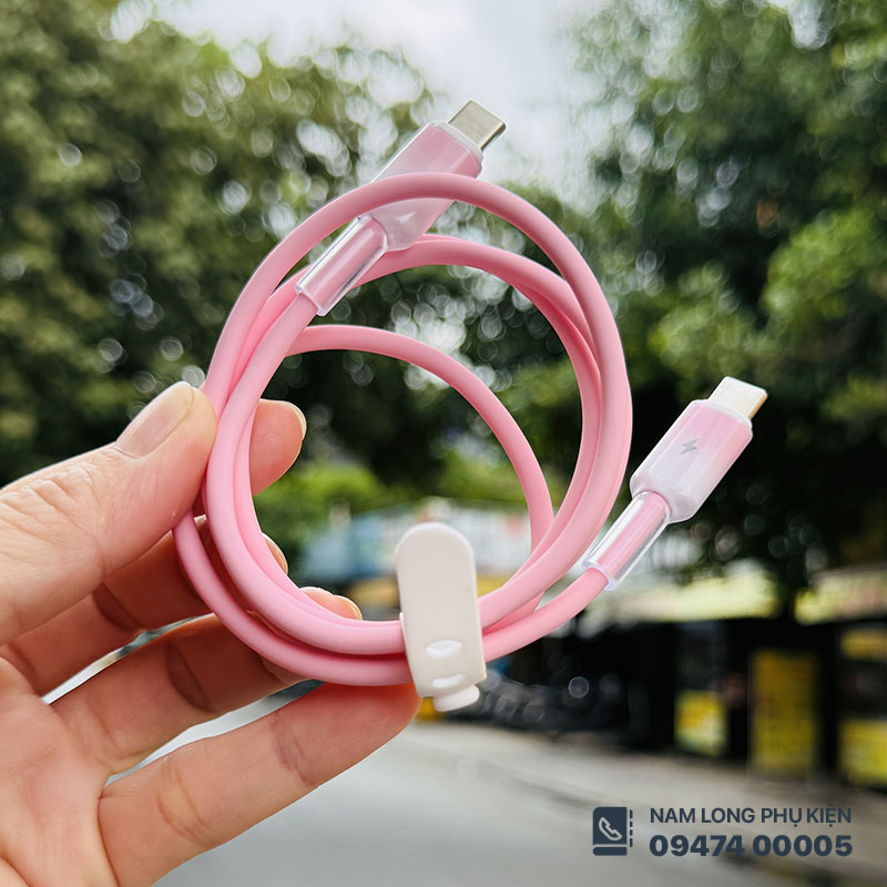 cap sac type c 60w
